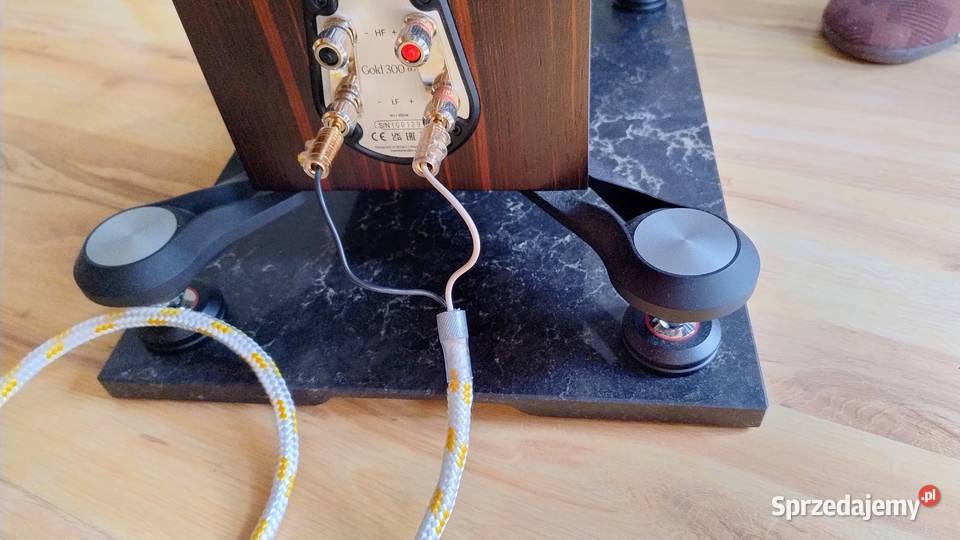 Audio Note Kondo Japan KSLSP 2x3m Pszczyna