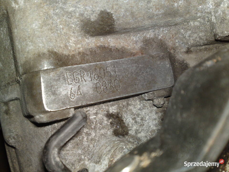 Skrzynia biegów EGR manualna 19 TDI VW Skoda osobowe Wrocław