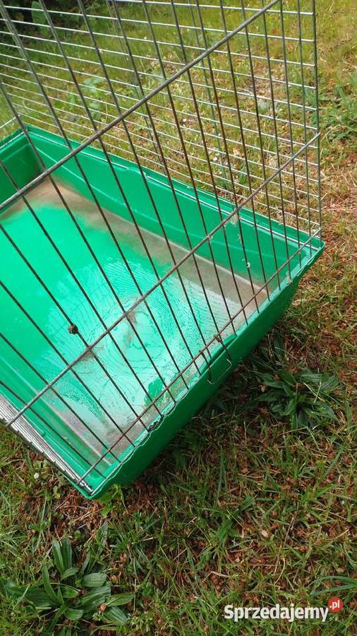 Klatka duża do gryzonia Więckowice