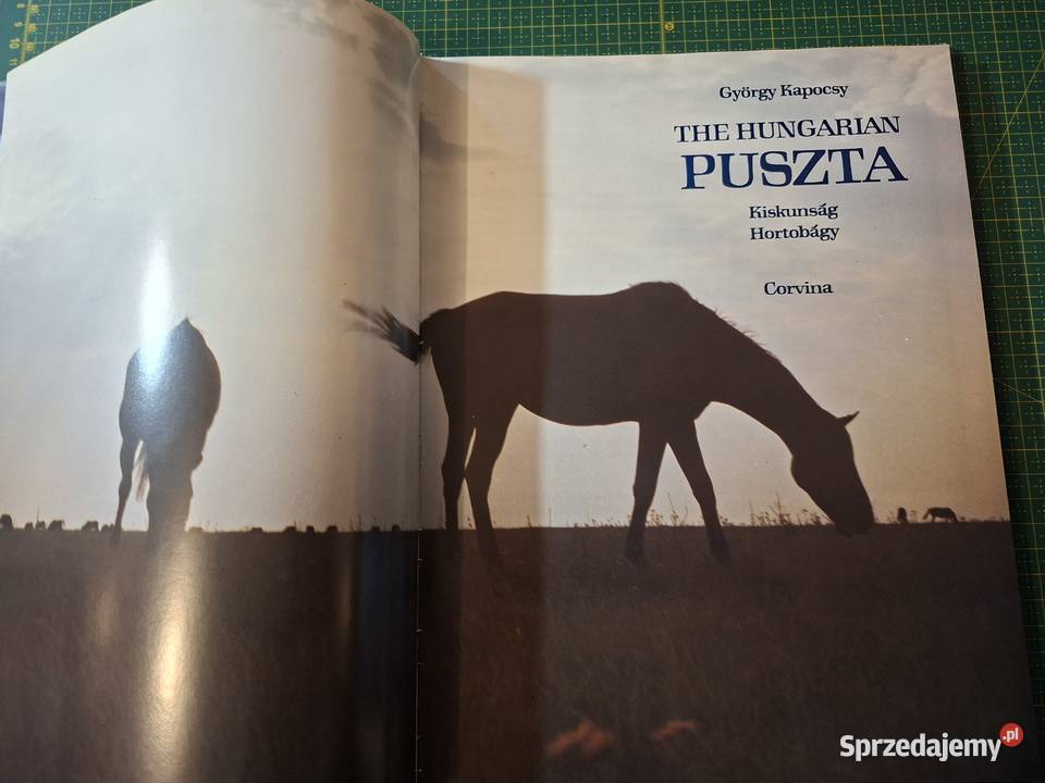 The Hungarian Puszta Gyorgy Kapocsy j angWęgry przyroda, krajobrazy Kraków