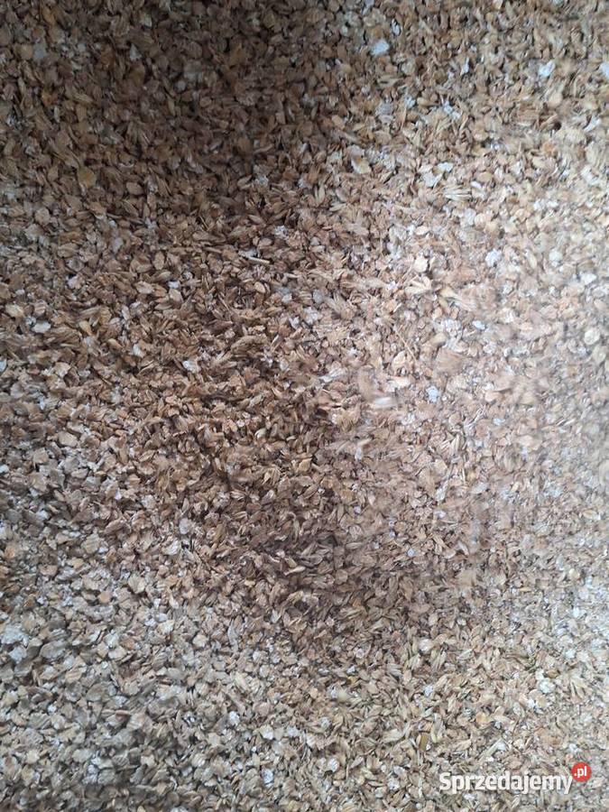Pszenica jęczmień gniotowniku sprzedam