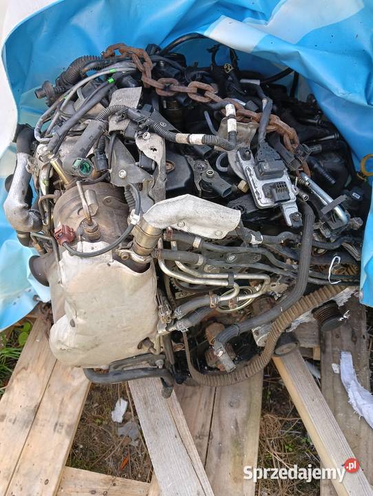 VW cedy osobowe Studzianki Pancerne