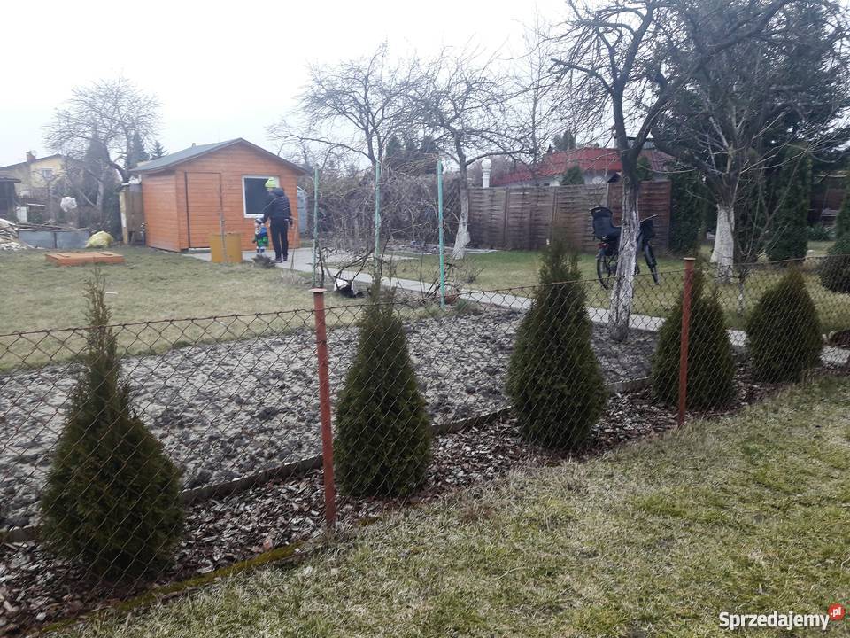 Działka ROD w Obornikach Oborniki