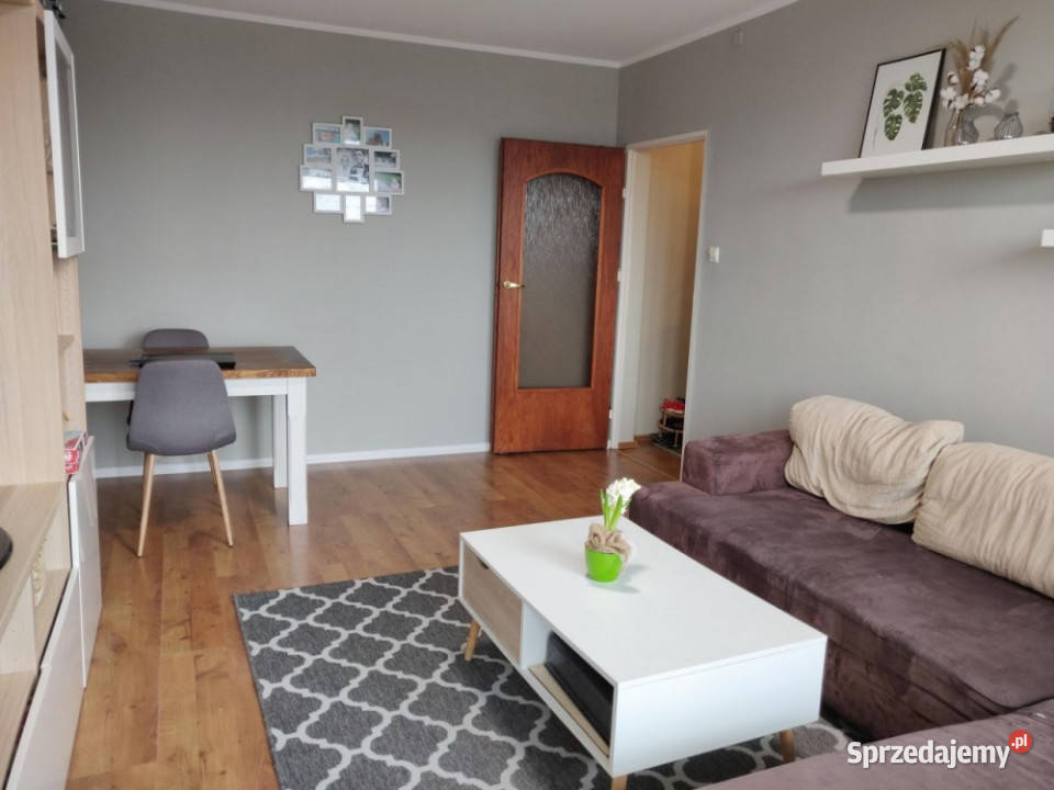 Mieszaknie z widokiem na Park Śląski Liczba pokoi 2 Katowice