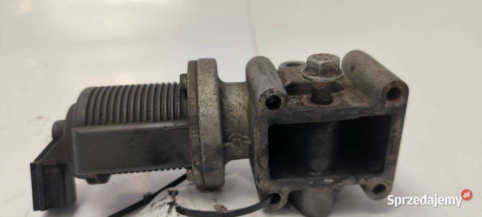 ZAWÓR EGR OPEL SIGNUM 55215031 Lipno