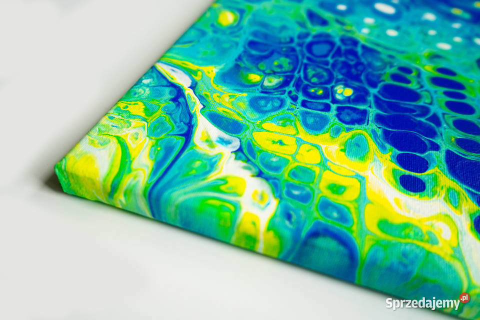 Kolorowy abstrakcyjny obraz Kameleon 50x60 mazowieckie Warszawa