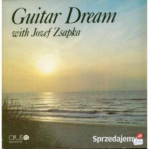 Guitar Dream Jozef Zsapka Muzyka