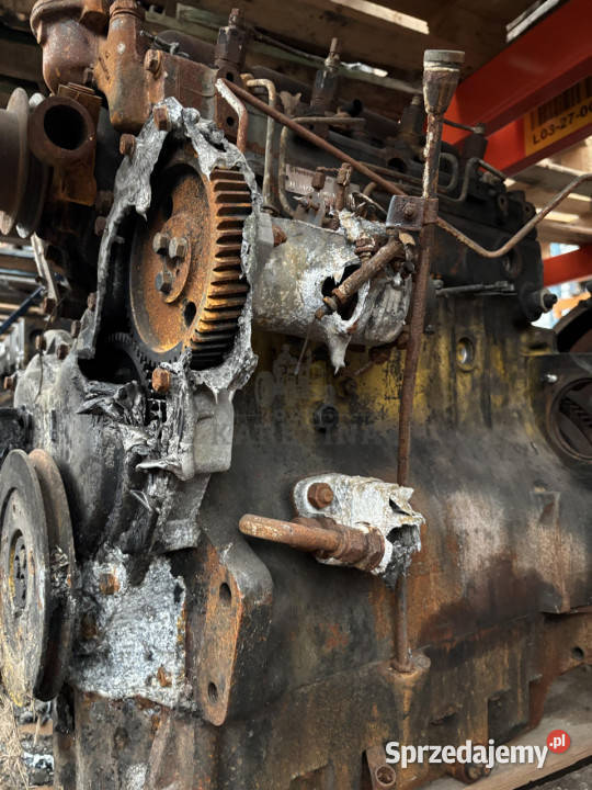 Perkins LF31227 Silnik Blok Tryb Koło Pasowe Jastrzębniki