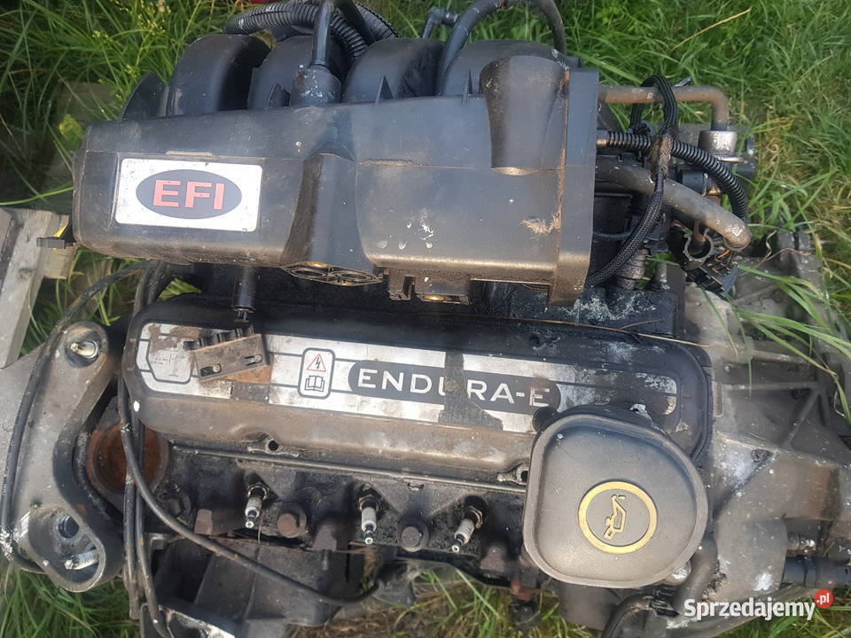 Silnik ford ka 13 benzyna Jatki