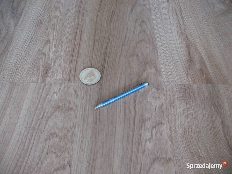 Magnes na lodówkę Muzeum Paleontologiczne w Kolekcje Chorzów