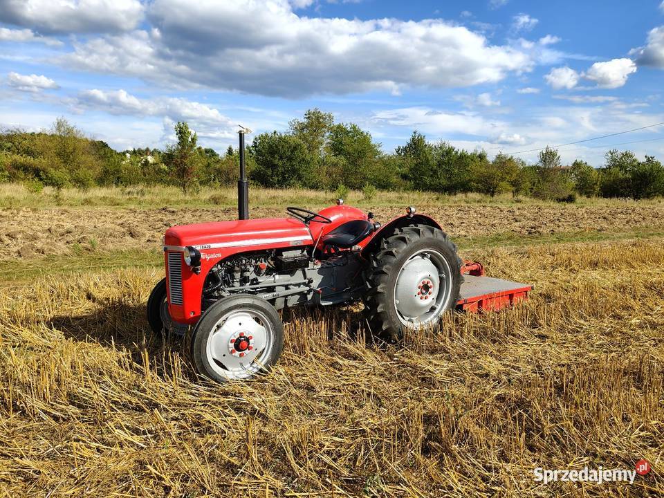Ferguson tea20 z 1956r