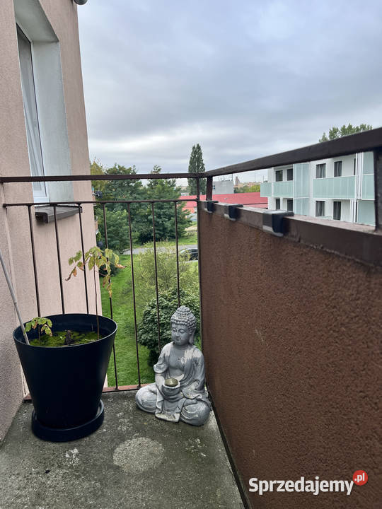Sprzedam mieszkanie w Toruniu sieć Toruń