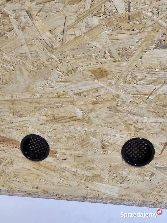 Terrarium z płyty OSB 100x50x50 Pięczkowo