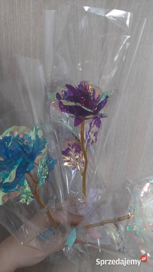 WIECZNE RÓŻE 25 RÓŻNE KOLORY Rybnik