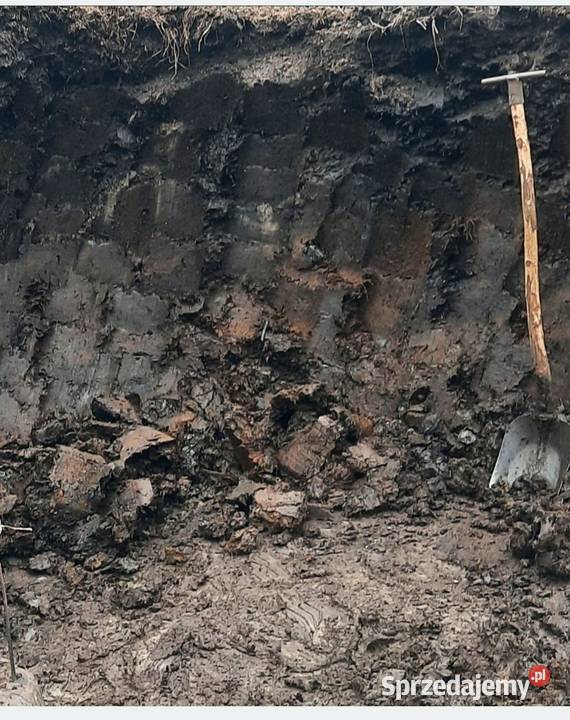 Obornik koński nie granulowany sprzedam