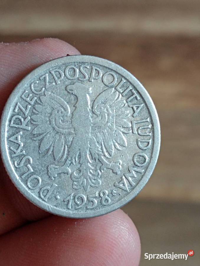 sprzedam cv 2 zlote 1958 r Chełm