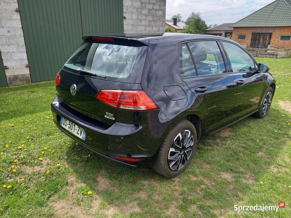 Volkswagen golf VII 16 TDI 2015 wielkopolskie Turek sprzedam