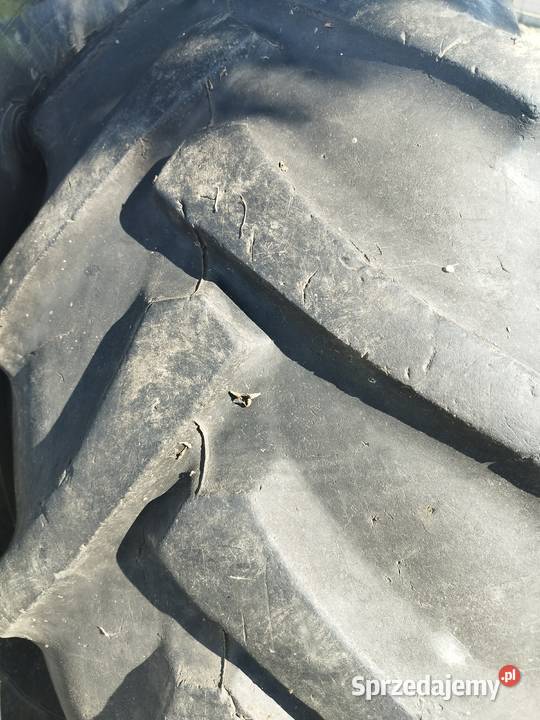 Opony Continental Włocławek