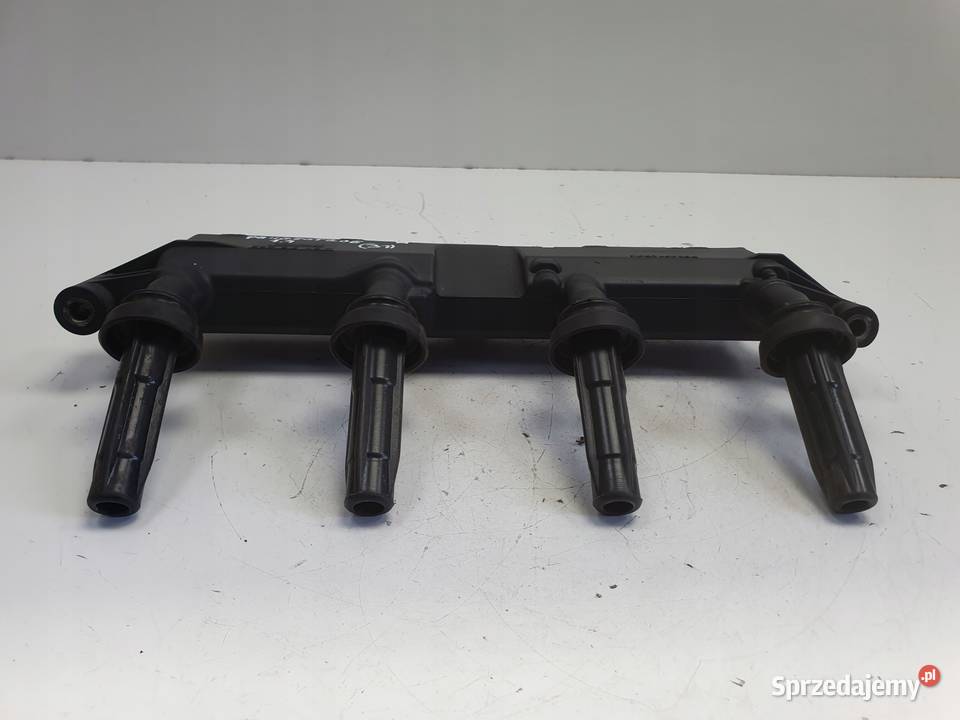 CEWKA ZAPŁONOWA Peugeot 206 14 8V 2526208 Rudka