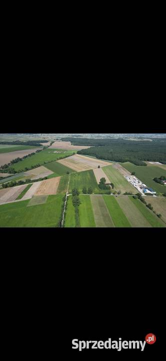 Działki z prawem do zabudowy Skotniki kOzorkowa Łódź sprzedam