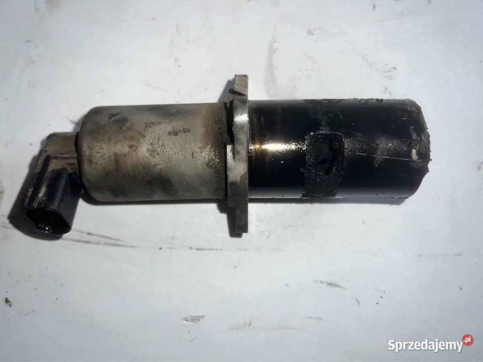 Zawór EGR Renualt Megane Scenic I 19dTi Ostrzeszów