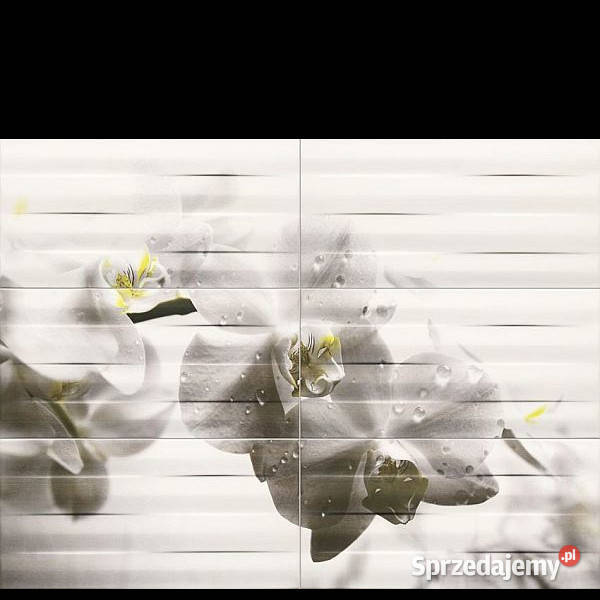 Obraz Maxima black 2 Tubądzin 673 x 898 aktualne