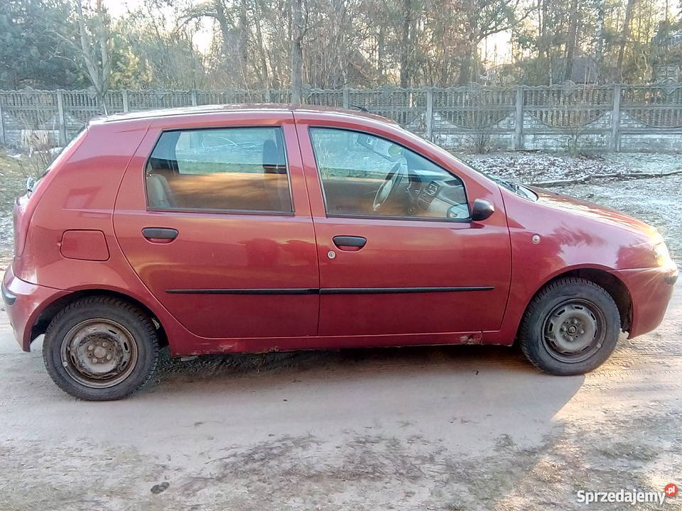 Punciak 4/5 Maciejowice