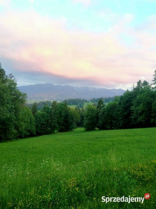 ZAKOPANE GLAMPINGPiękna działka widokowa u stóp 60m Grunty i działki