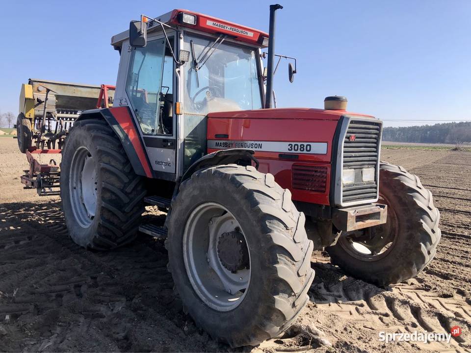 Massey Ferguson 3080 Massey Ferguson Massey Ferguson Golub-Dobrzyń