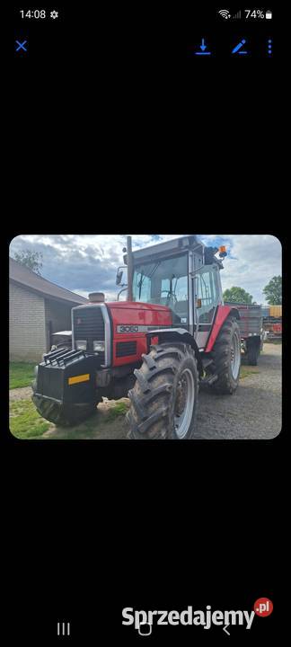 Massey Ferguson 3050 Kaczyce