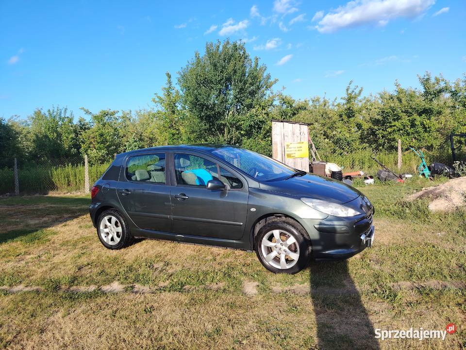 Peugeot 307 16 benzyna
