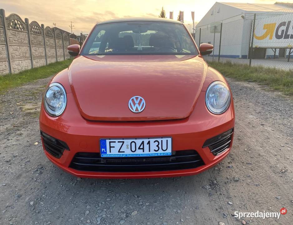 Perełka Volkswagen Beetle wyjątkowy i jedyny Beetle