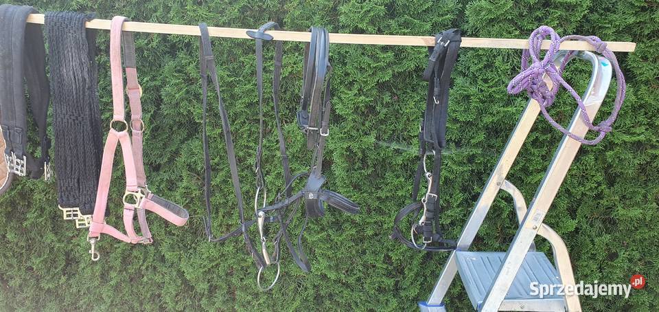 Siodło Zestaw Do Jazdy Konnej Szczebrzeszyn sprzedam