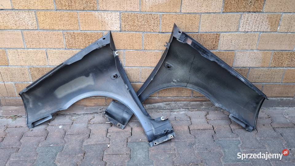 Błotnik Renault Clio II