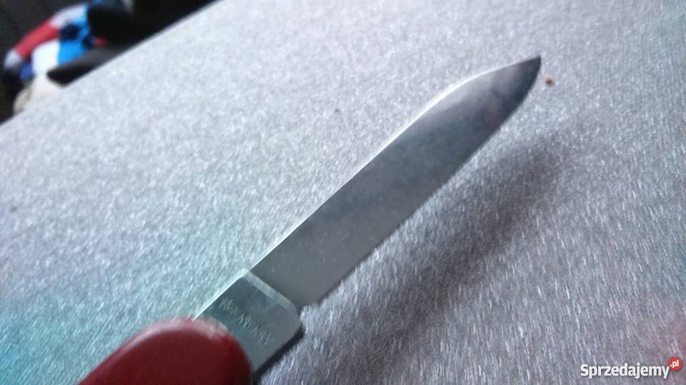 Scyzoryk Victorinox Economy series mazowieckie
