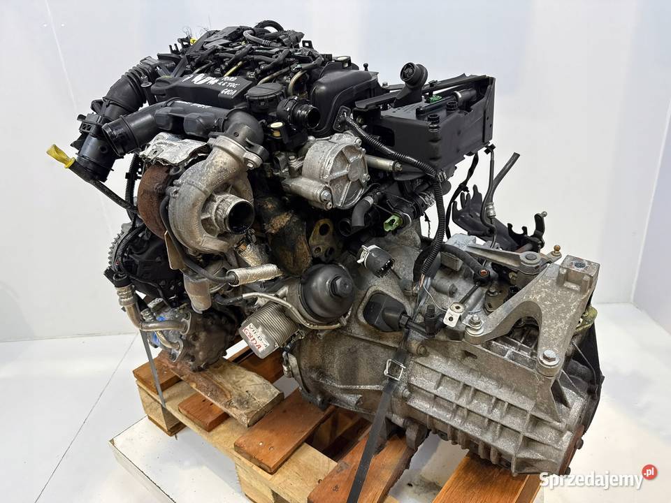 SILNIK G8DA Ford Focus II MK2 C C 16 TDCI 109 osobowe Silniki kompletne Chełm