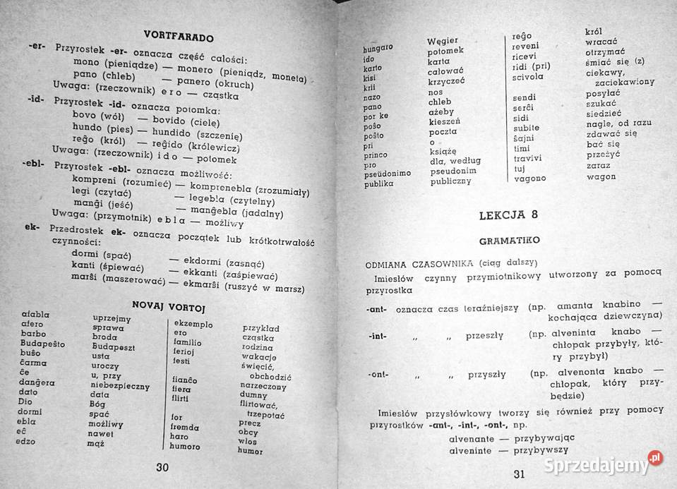 1000 słów języka esperanto Edmund i Jan Fethke Chełm