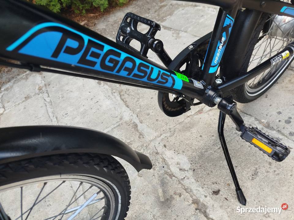 Rower dziecięcy Pegasus koło 20 przywieziono z sprzedam