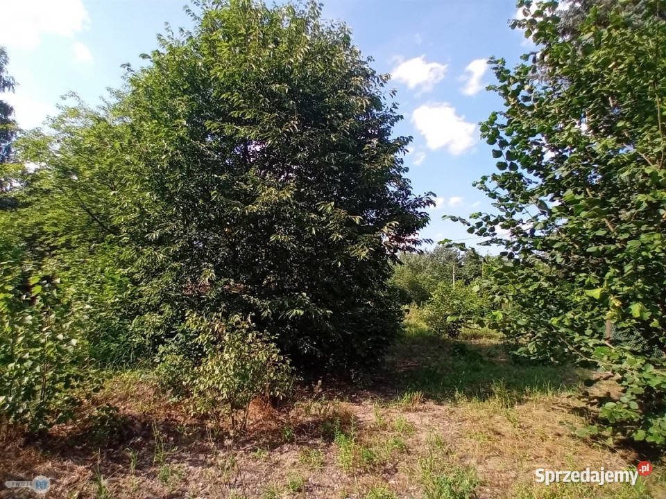 Działka Wola Kopcowa 1068m2 Sprzedaż
