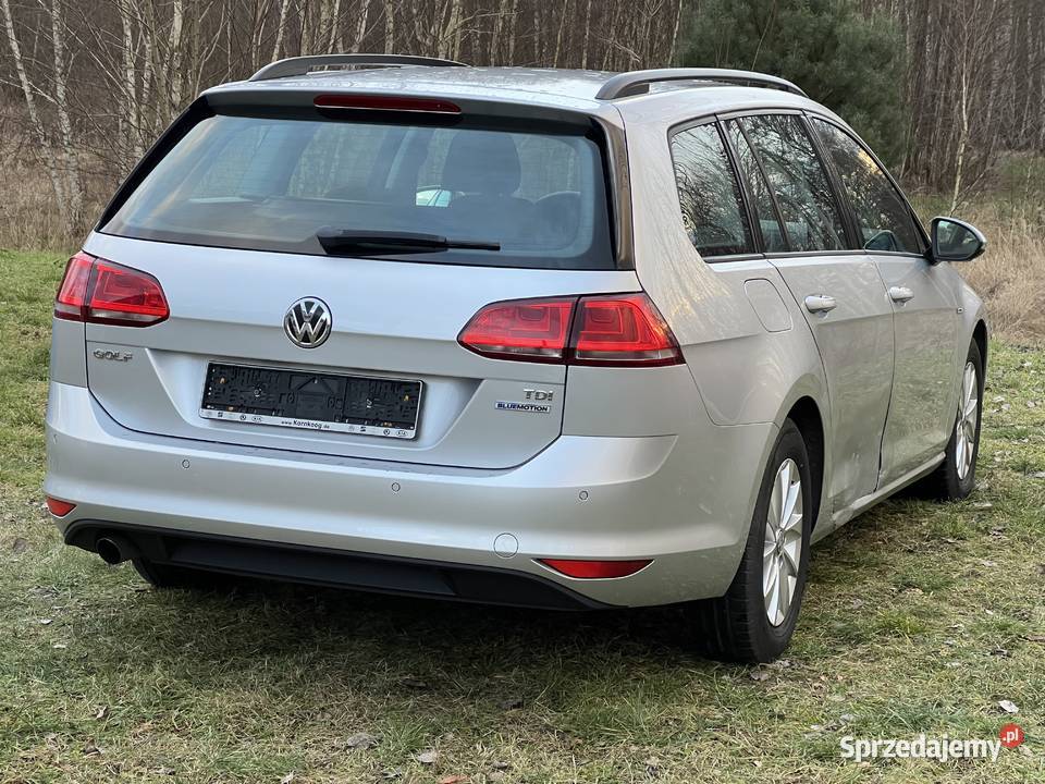 Volkswagen Golf VW Golf VII 16 TDI Okazyjna relingi dachowe Gubin