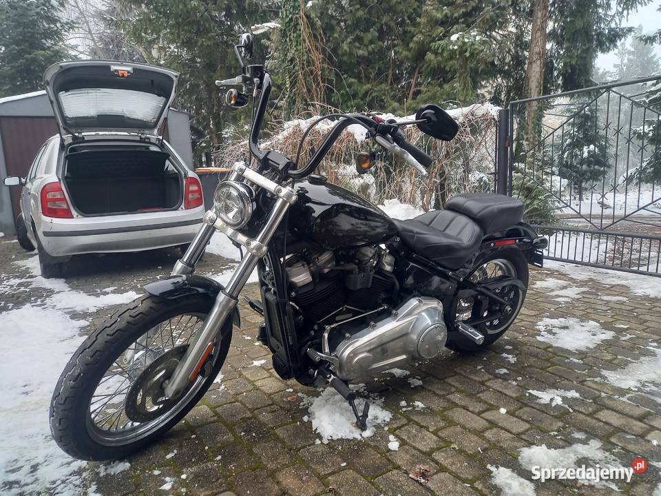 HarleyDavidson Fxst Softail Standard M8 Niski Bielsko-Biała