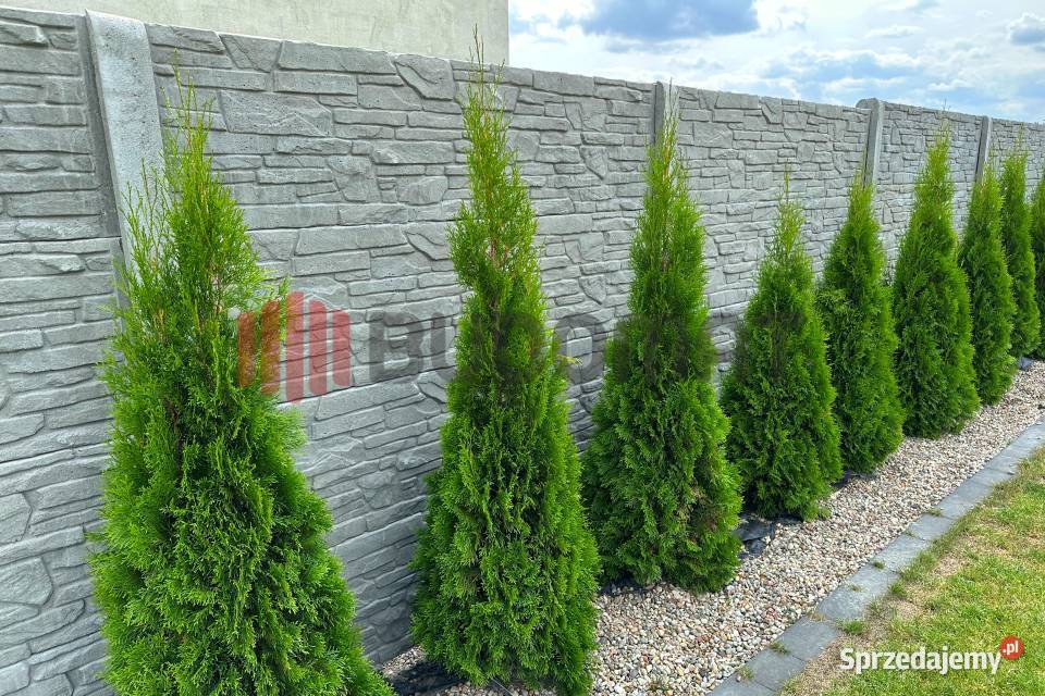 Ogrodzenie betonowe płyty słupy ogrodzeniowe Łabiszyn