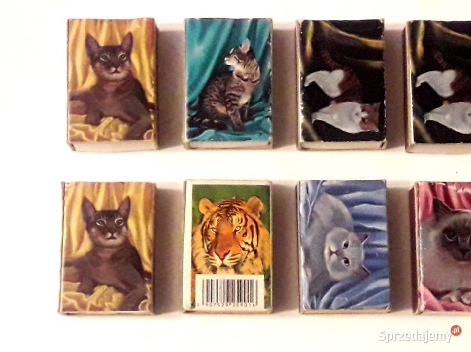 Zapałki pudełka zapałek dziewczyny i koty Piotrków Trybunalski