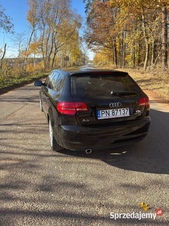 Audi A3 2012r 16TDI dolnośląskie