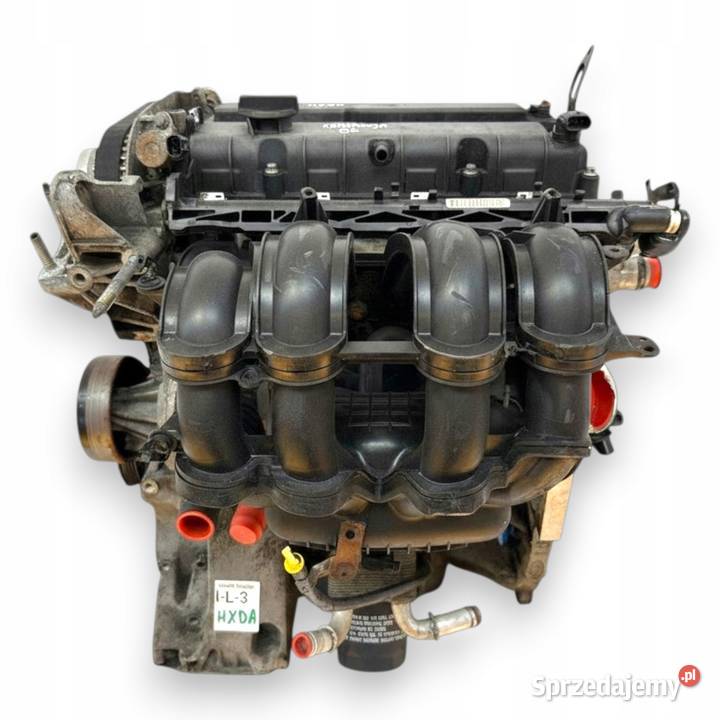 SILNIK HXDA Ford Focus II MK2 C C 16 16V Ti HXDB Chełm