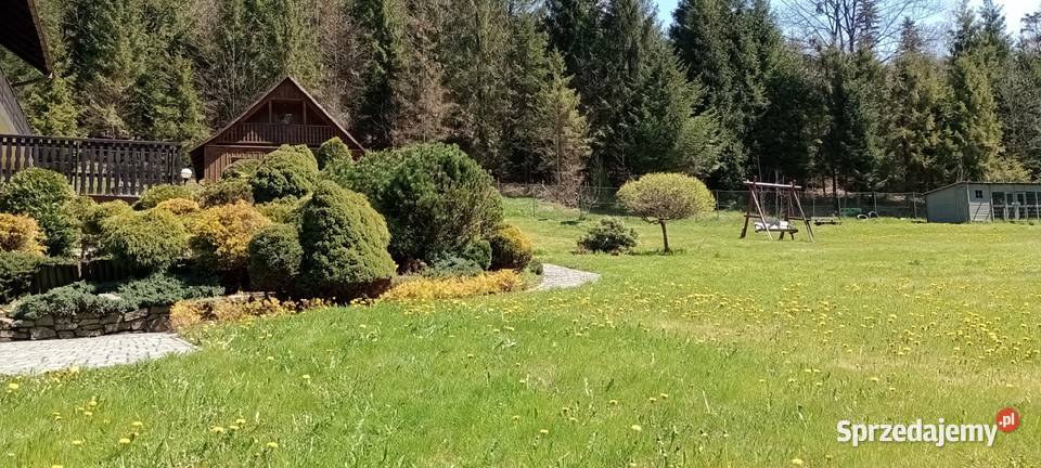 Dom Cisza Beskidu plus samodzielny domek Wisła