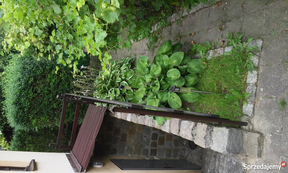 Sprzedam działkę ROD 115 wielkopolskie Poznań sprzedam