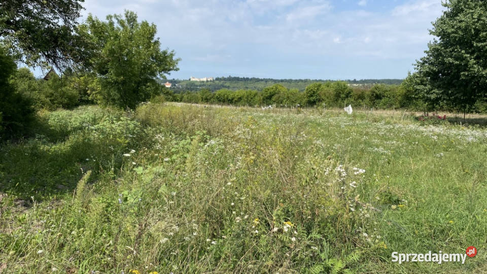 Piękna Działka na Wsi Okale k Kazimierz Dolnego 42zł/m2 Kazimierz Dolny sprzedam