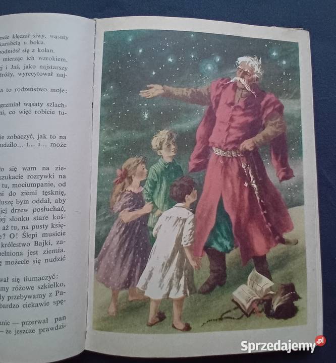 Ewa SzelburgZarembina Królestwo bajki Nasza