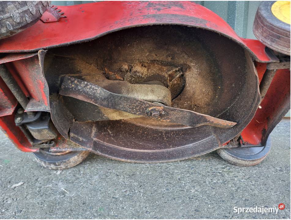 Kosiarka Spalinowa Wolf Garten Briggs Stratton Szprotawa